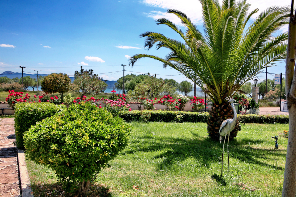 Best offers for Kalloni bay Lesvos