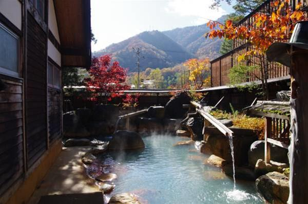 Best offers for Hirayukan Gifu 