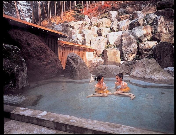 Best offers for Okuhida Yakushi No Yu Honjin Gifu