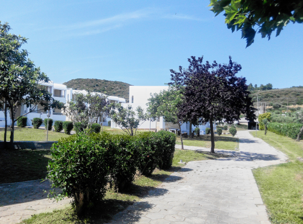 Best offers for Skion Palace Kassandria