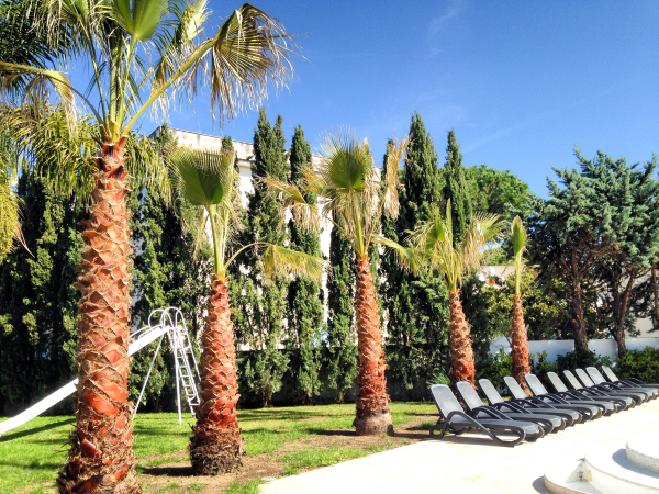 Best offers for Le Palme SALERNO