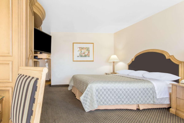 أفضل العروض ل  مودسانت 