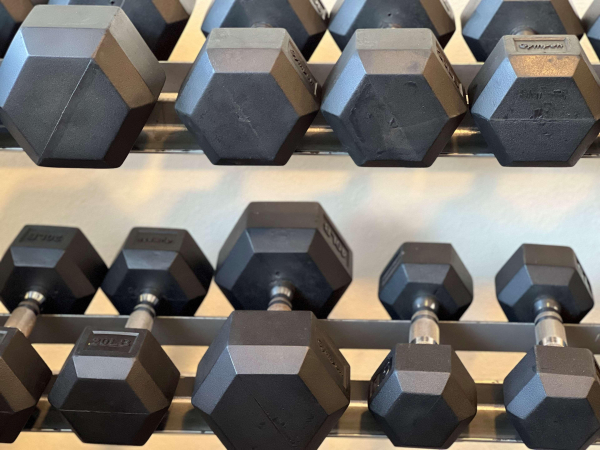 Best offers for Best Western Shadow Inn Woodland 