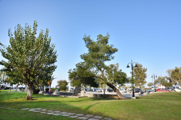 Best offers for Ionion Star Lefkada 
