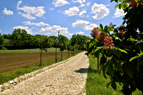 Best offers for La Pampa Relais Benevento