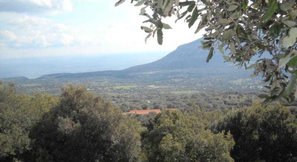 Best offers for Agriturismo Su Tresi Nuoro 