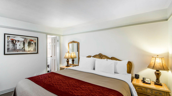 أفضل العروض ل  إنيد 