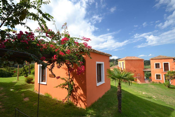 أفضل العروض ل  تورتولي