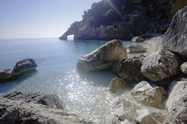 أفضل العروض ل  تورتولي