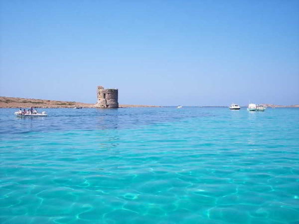 أفضل العروض ل  ساساري