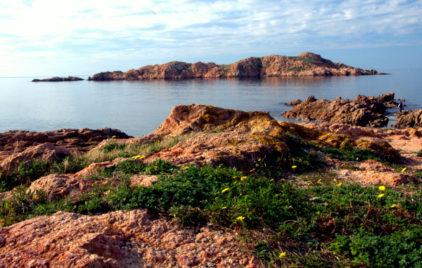 أفضل العروض ل رسايدنساك يوافانتاسي ساساري