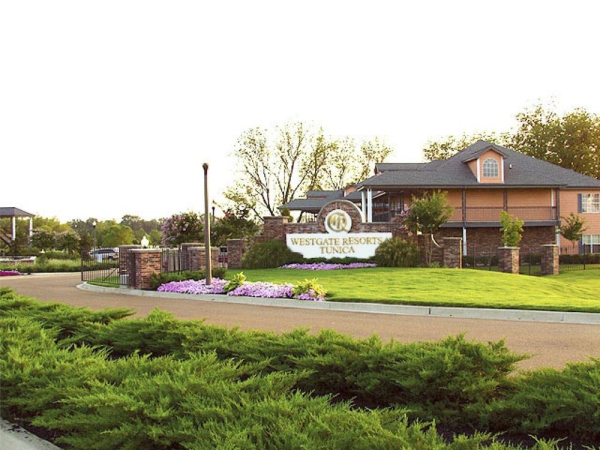 أفضل العروض ل  روبينسونفيل 