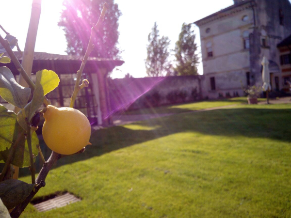 أفضل العروض ل ماصلا وينري و كانترى رليس فيرونا