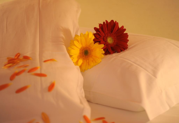 Best offers for Hotel Etrusco Livorno