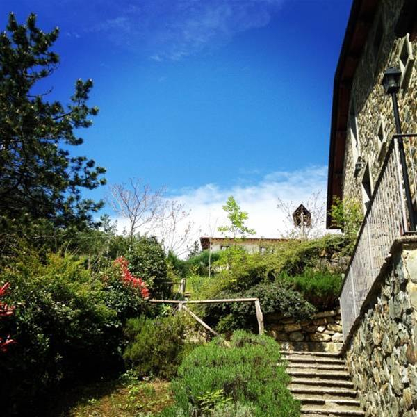 Best offers for I Tre Baroni Arezzo