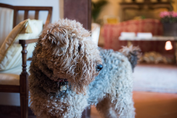 Best offers for Borgo Tenuta La Bandita Livorno