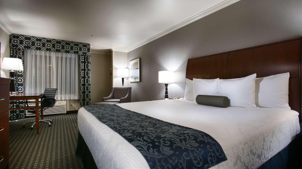 Best offers for Best Western Plus Marina Shores Hotel Dana Point 