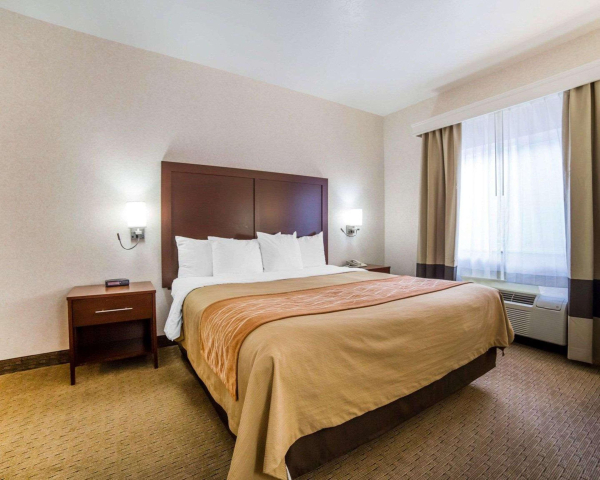 Best offers for Comfort Inn Elko Elko