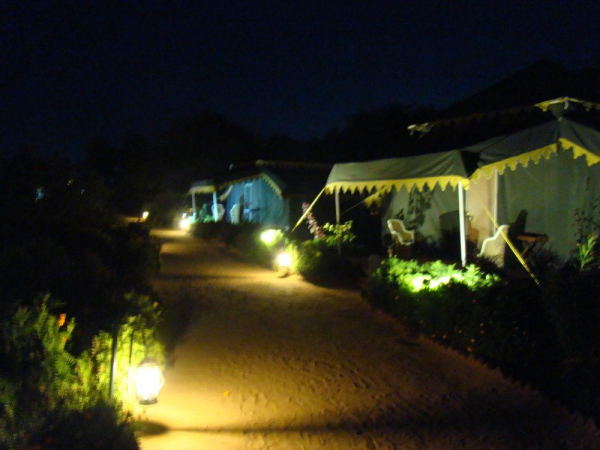 Best offers for Orchard Ajmer