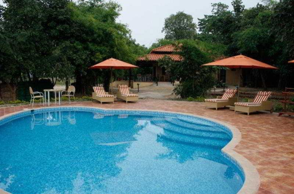 Best offers for Infinity Bandhavgarh Wilderness BANDHAVGARH