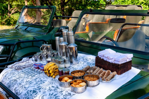 Best offers for Mahua Kothi A Taj Safari Bandhavgarh National Park BANDHAVGARH
