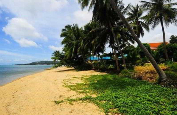 Best offers for Sarocha Villa Samui Koh Samui