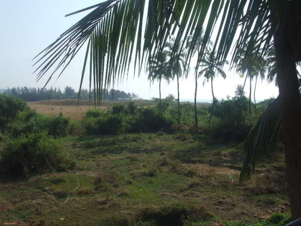 Best offers for Pleasure Beach Resort North Goa