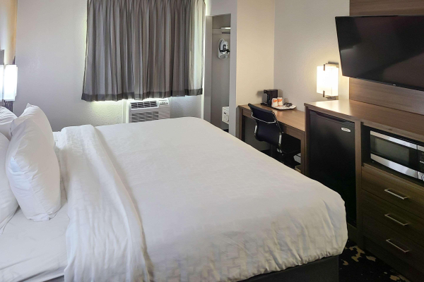 أفضل العروض ل  بتندورف 