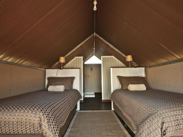 أفضل العروض ل  بروم 