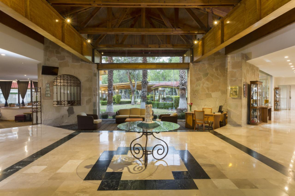 Best offers for Gamma Pachuca Pachuca