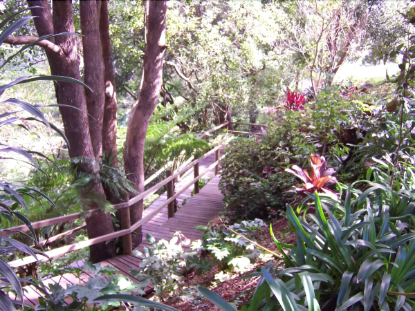 Best offers for The Falls Rainforest Cottages Maroochydore