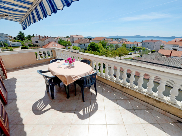 أفضل العروض ل  زادار