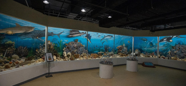 Best offers for Yongpyong Resort Pyeongchang