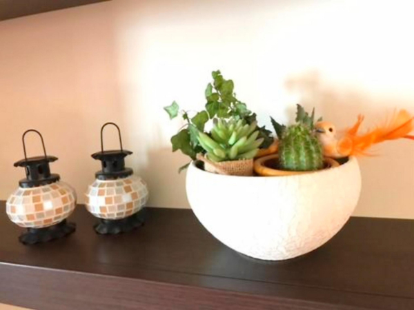 Best offers for Olga Brac   Island