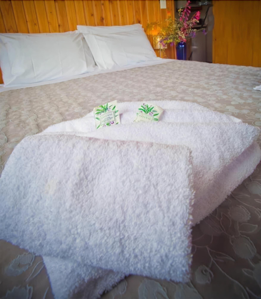 Best offers for Mapua Chalets Nelson