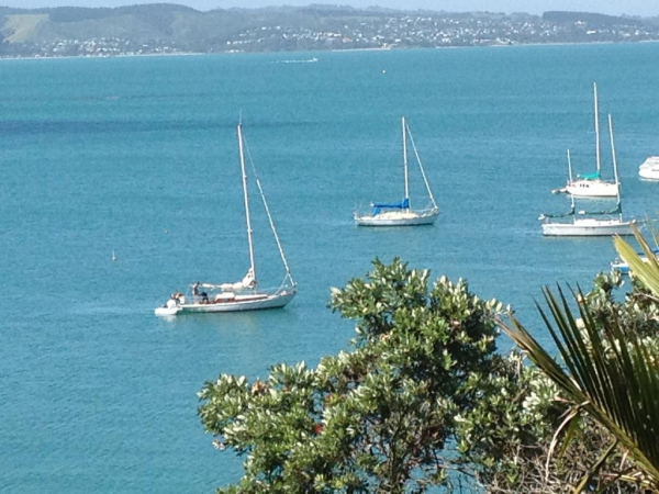 أفضل العروض ل  اوكلاند 