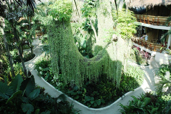 Best offers for Nigi Nigi Nu Noos Beach Resort Boracay  Island