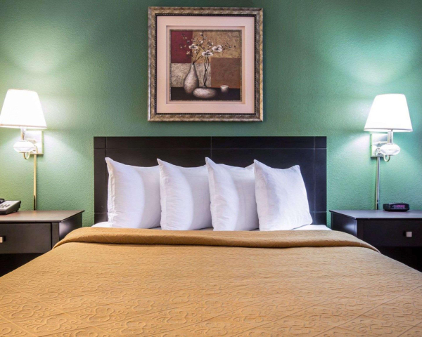 أفضل العروض ل ك يواليتياناندروس سينتاندروس