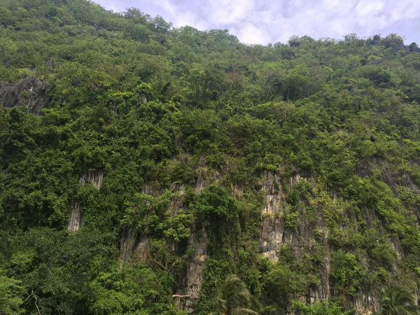 Best offers for El Nido Viewdeck Cottages Puerto Princesa 