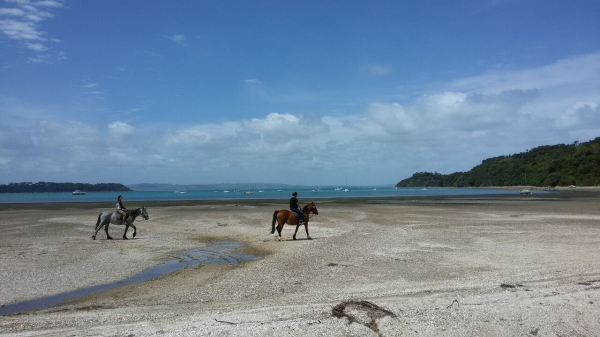 Best offers for Breakfast On The Beach Auckland