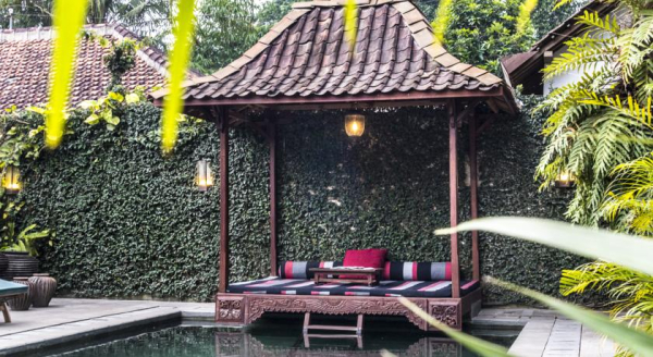 Best offers for d'Omah Yogyakarta