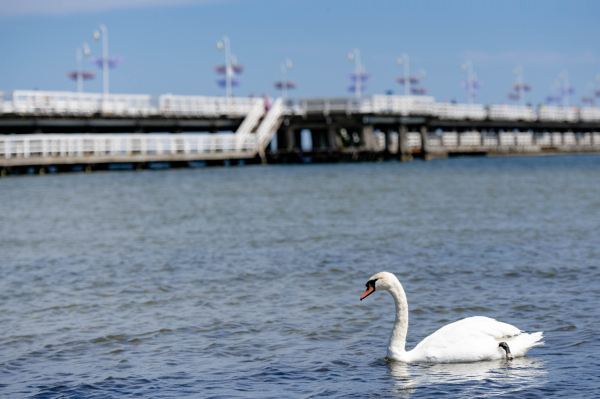 أفضل العروض ل  سوبوت 