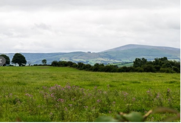 أفضل العروض ل اباي فيو بيد اند بريكفاست تيبراري