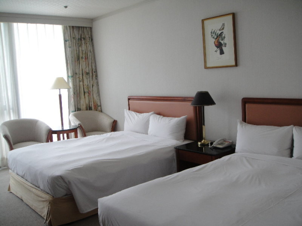 أفضل العروض ل  تينان 