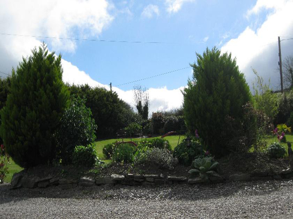 أفضل العروض ل  كورك 