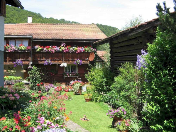 Best offers for Bad Serneus Davos