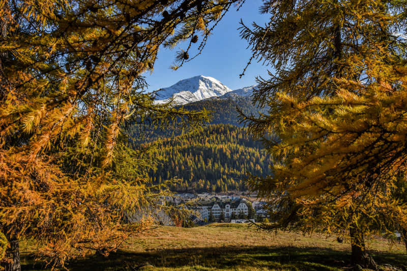 Best offers for Cresta Palace, Celerina Sankt Moritz