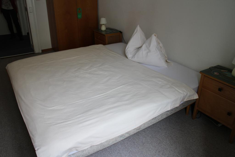 Best offers for Rebstock Meiringen