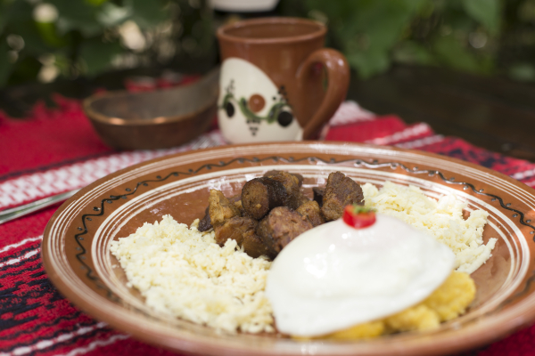 أفضل العروض ل بلاريا إياسي