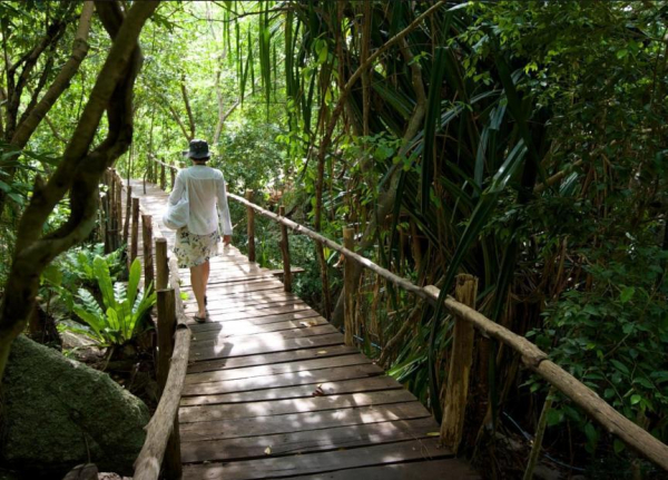 Best offers for Tanote Villa Hill Koh Tao Surat Thani